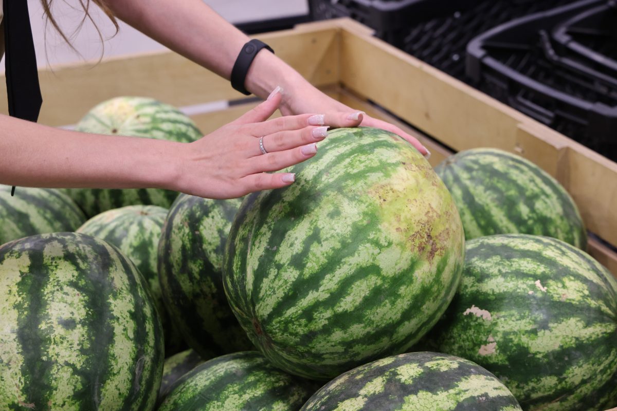 Профессор Капустина назвала главные признаки вкусного арбуза